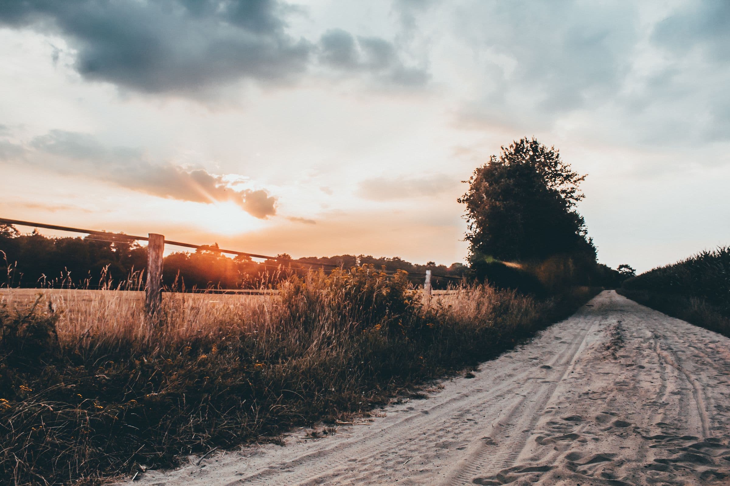 Country lane through open grassy fields under a warm sunset sky