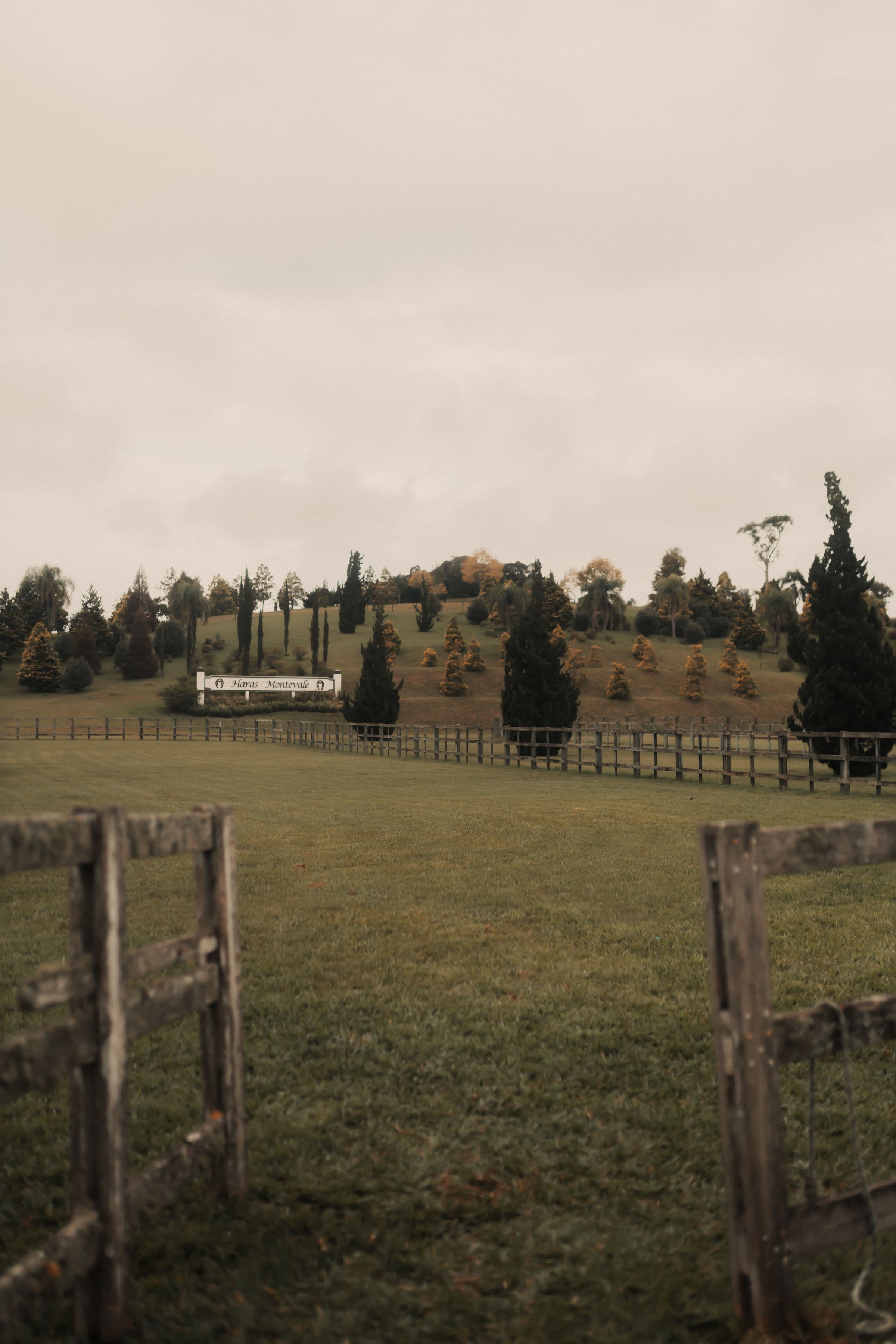 Open ranch pasture and wooden fence lines under a wide sky