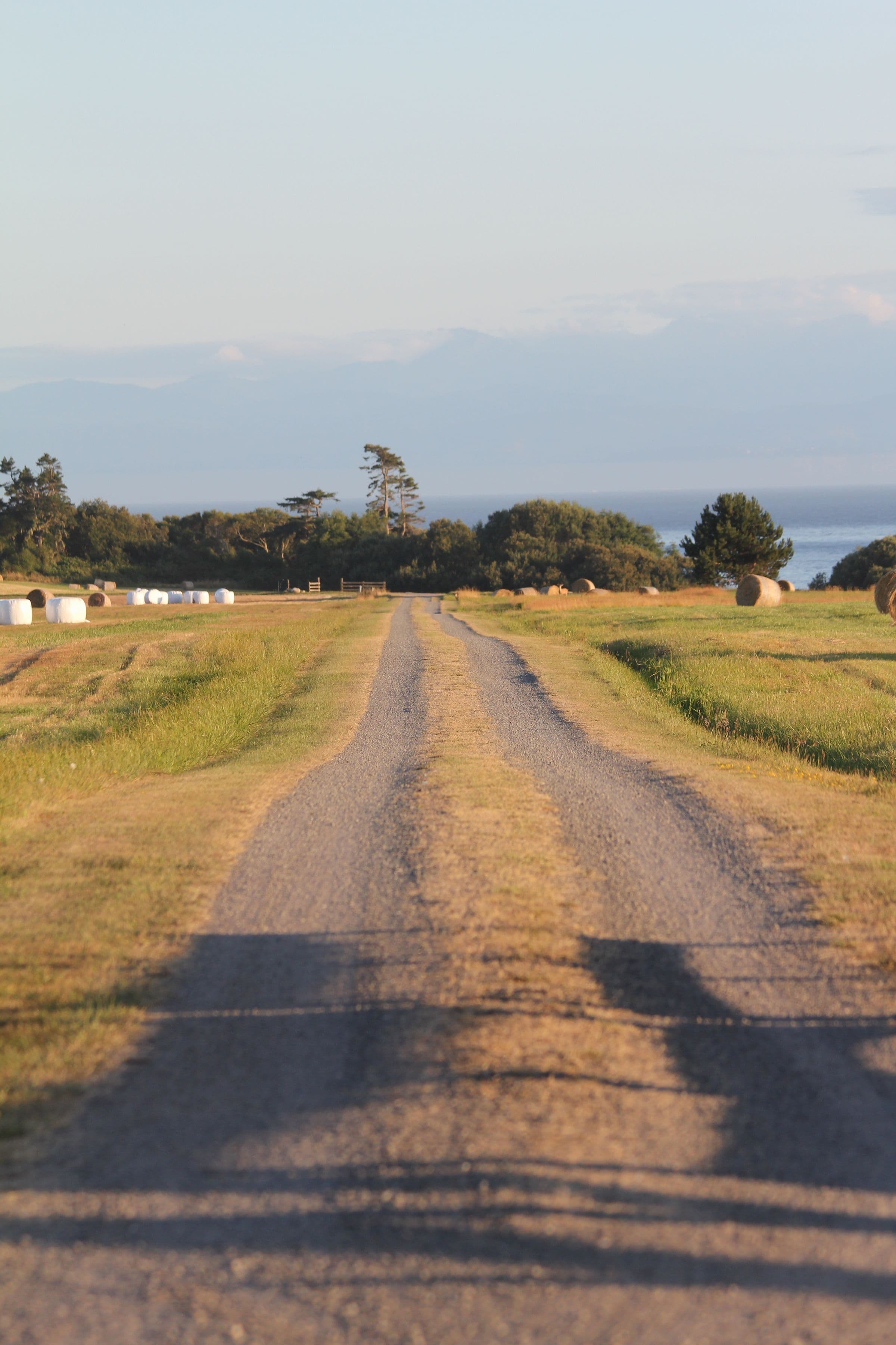 Country road running through open green farmland toward a wide horizon